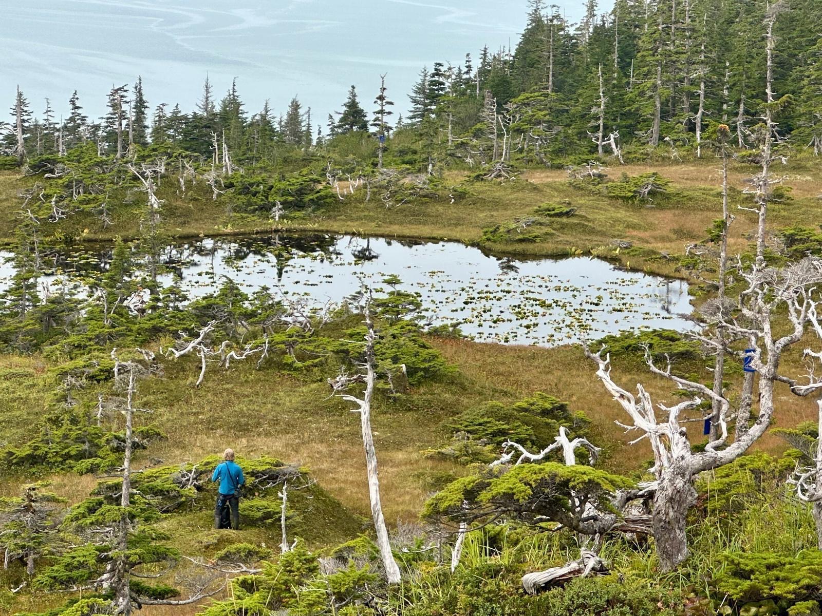 SIEMEN IN ALASKA